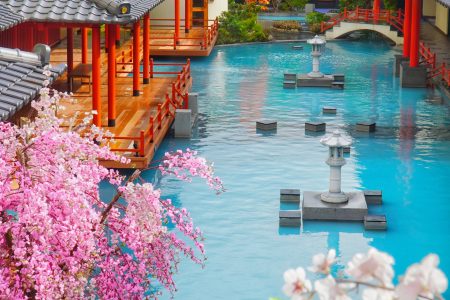 Vé tiêu chuẩn Set ăn tối MIKAZUKI dành cho du khách Việt Nam