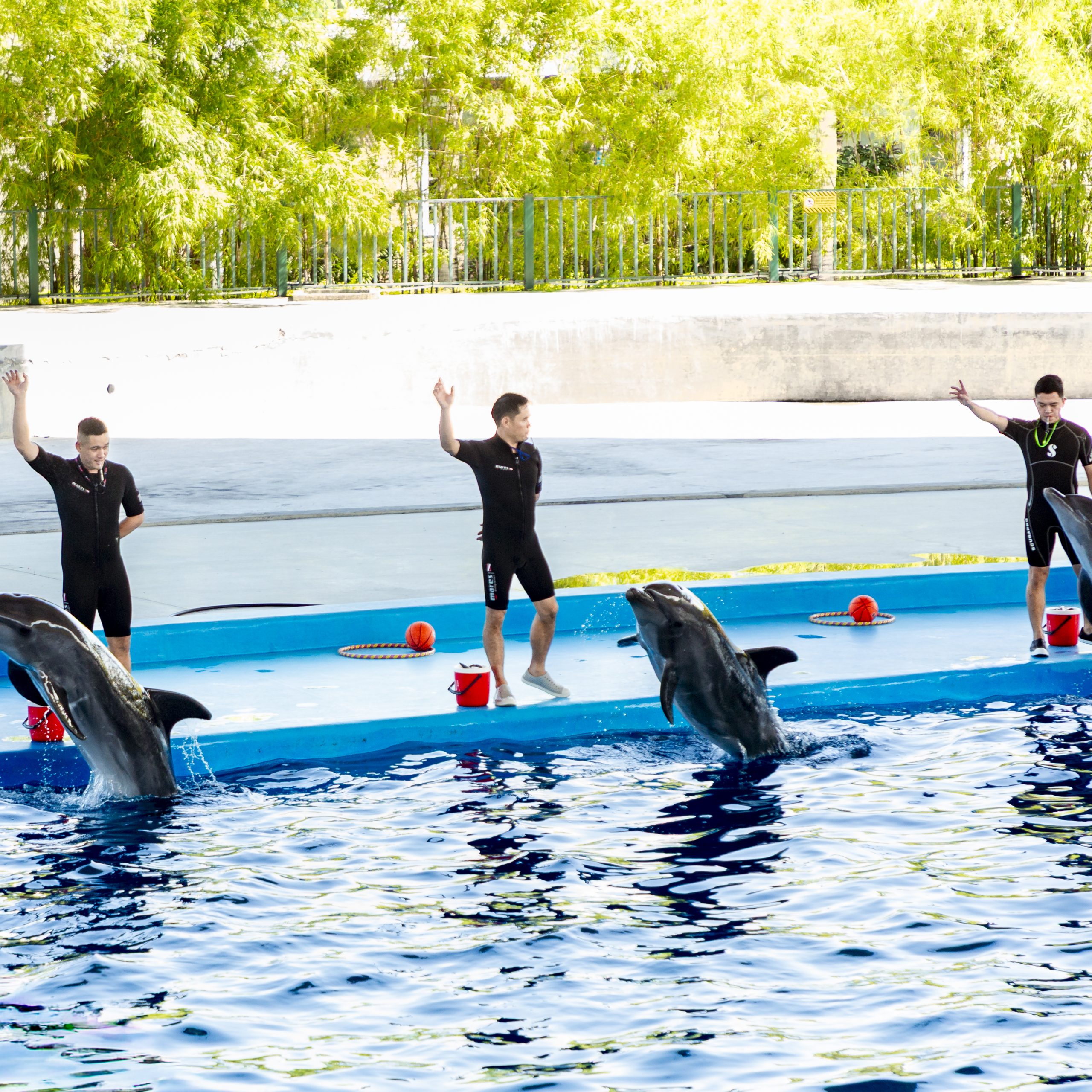Đà Nẵng Dolphinarium
