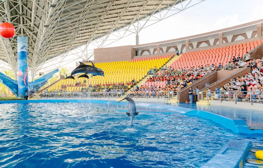 Vé show cá heo hải cẩu cho học sinh