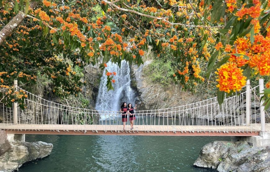 Combo Vé Tham quan + Cáp Treo, Cầu Kính Cổng Trời Đông Giang