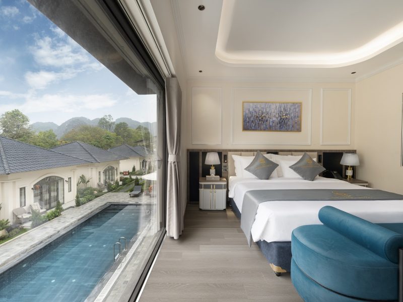 Deluxe Pool view